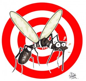 dengue