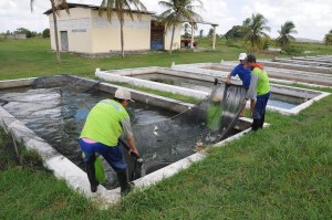 Projeto vai gerar emprego e renda aos moradores do campo.