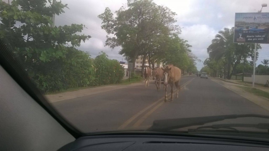 Foto: Antônio Ferraz.